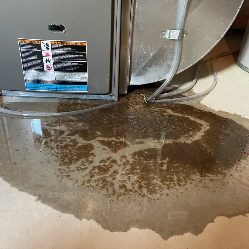 Appliance Leak Cleanup in Rutherford County, NC